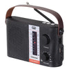 DFE Solar Radio with bluetooth speaker