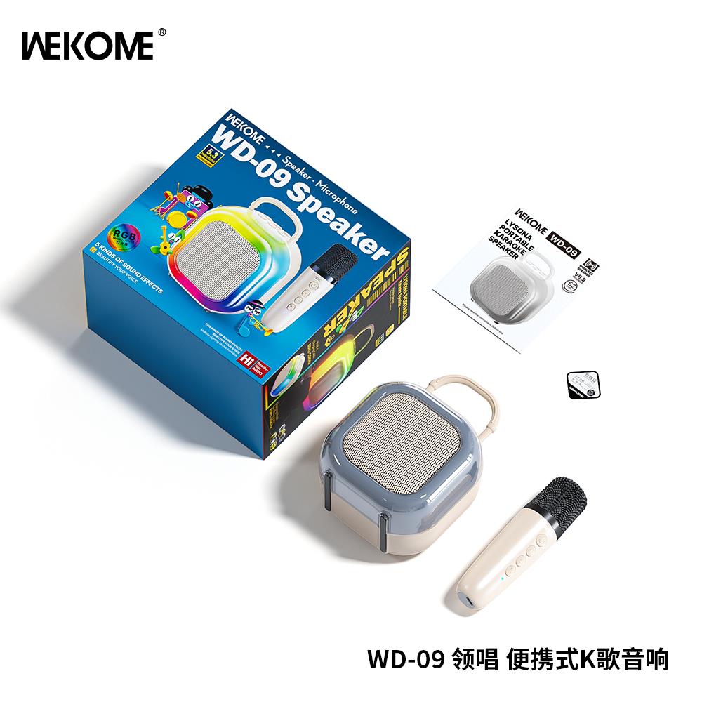 Portable Karaoke