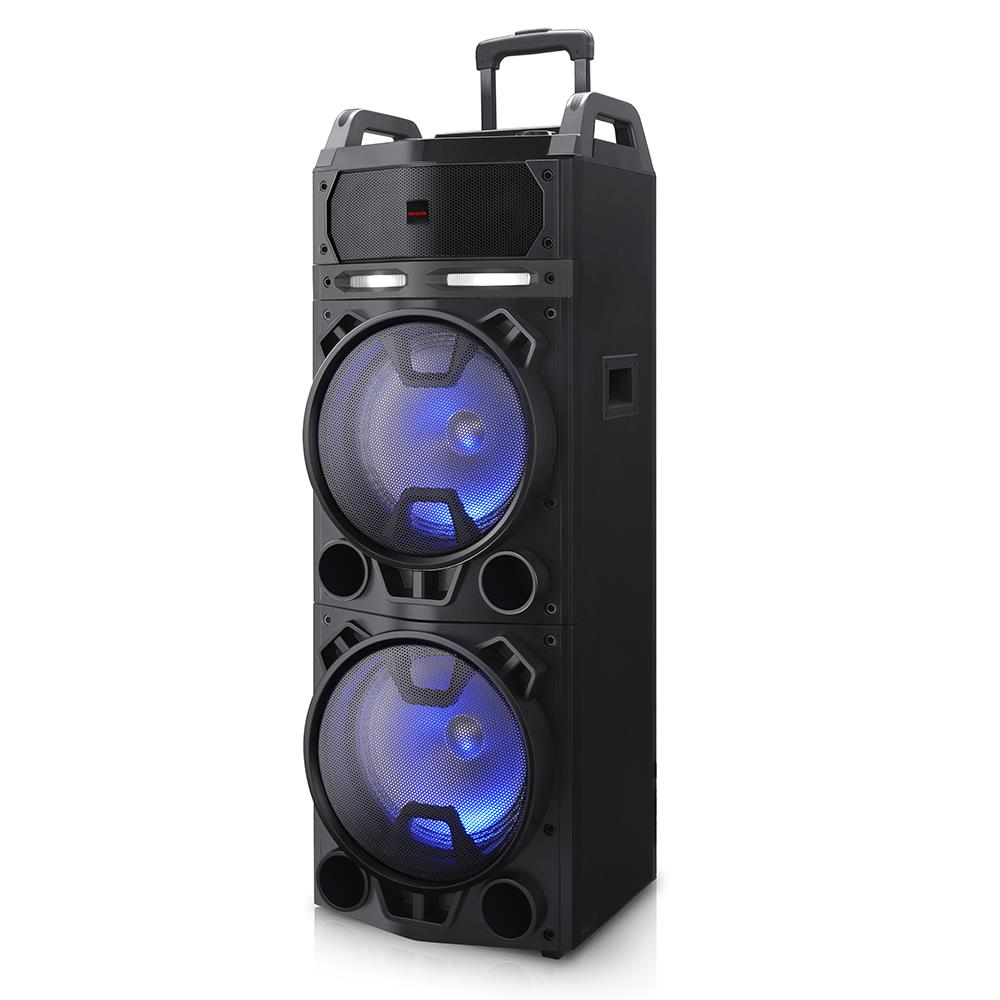 Aiwa BT800 800w Dual Wireless Mic PA