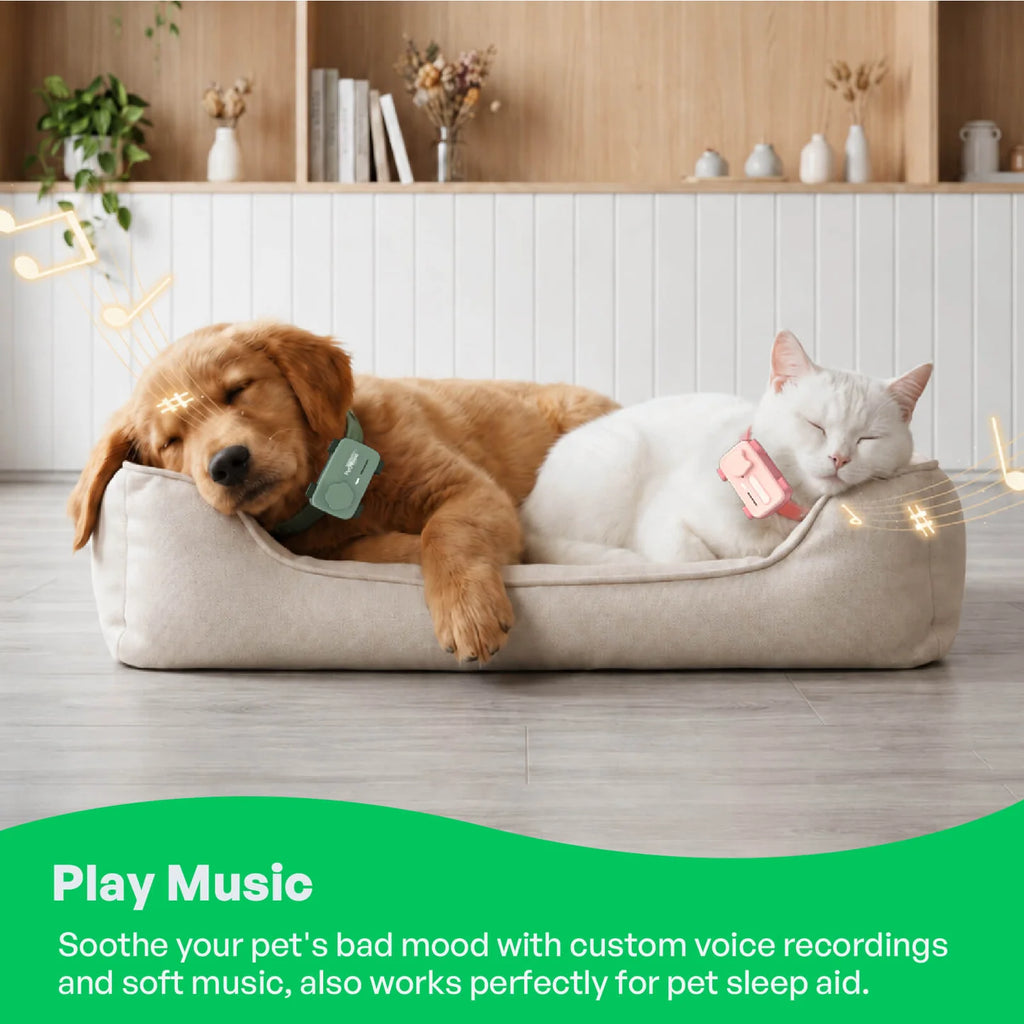 PET SMARTPHONE+GPS TRACKER