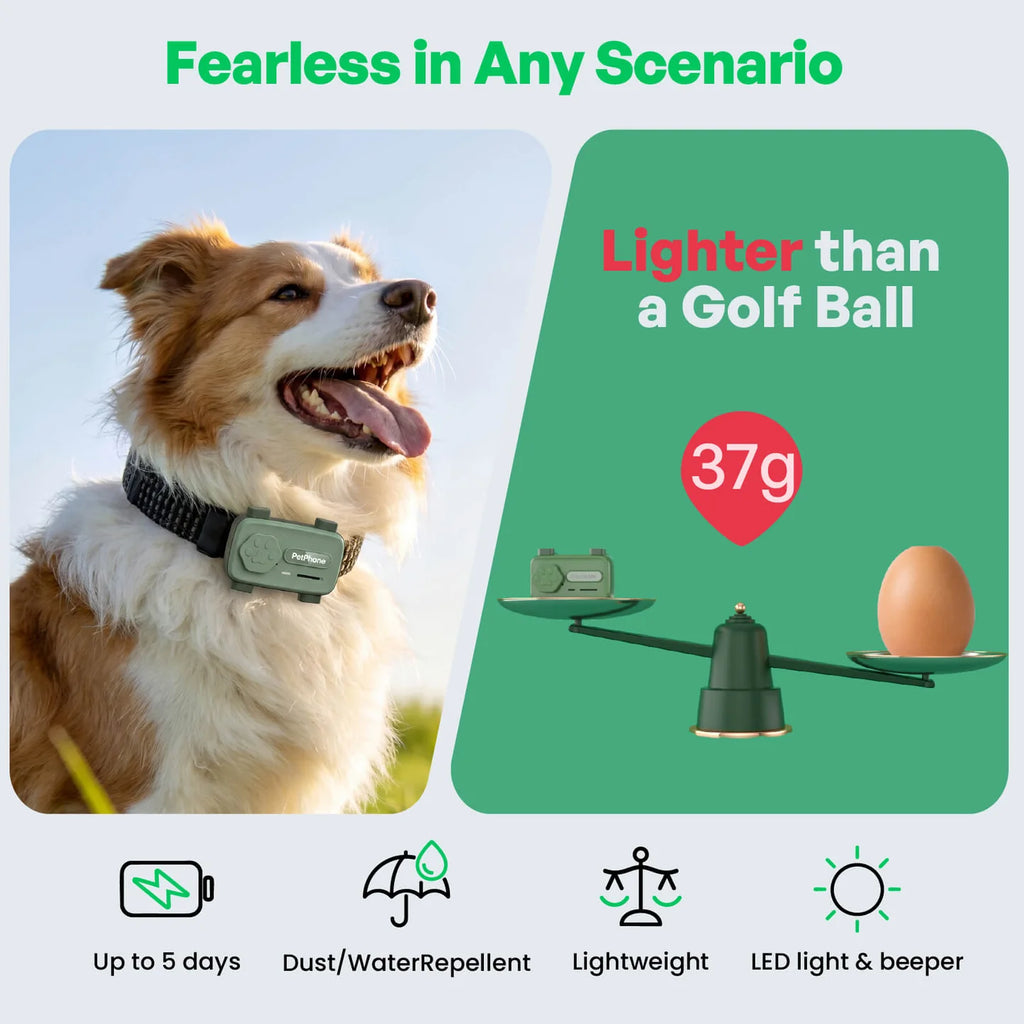 PET SMARTPHONE+GPS TRACKER