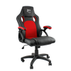Whiteshark Kingsthrone Gaming Chair
