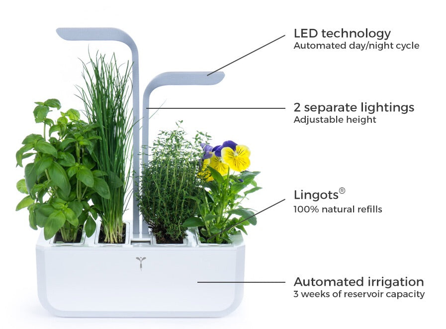 Veritable Garden